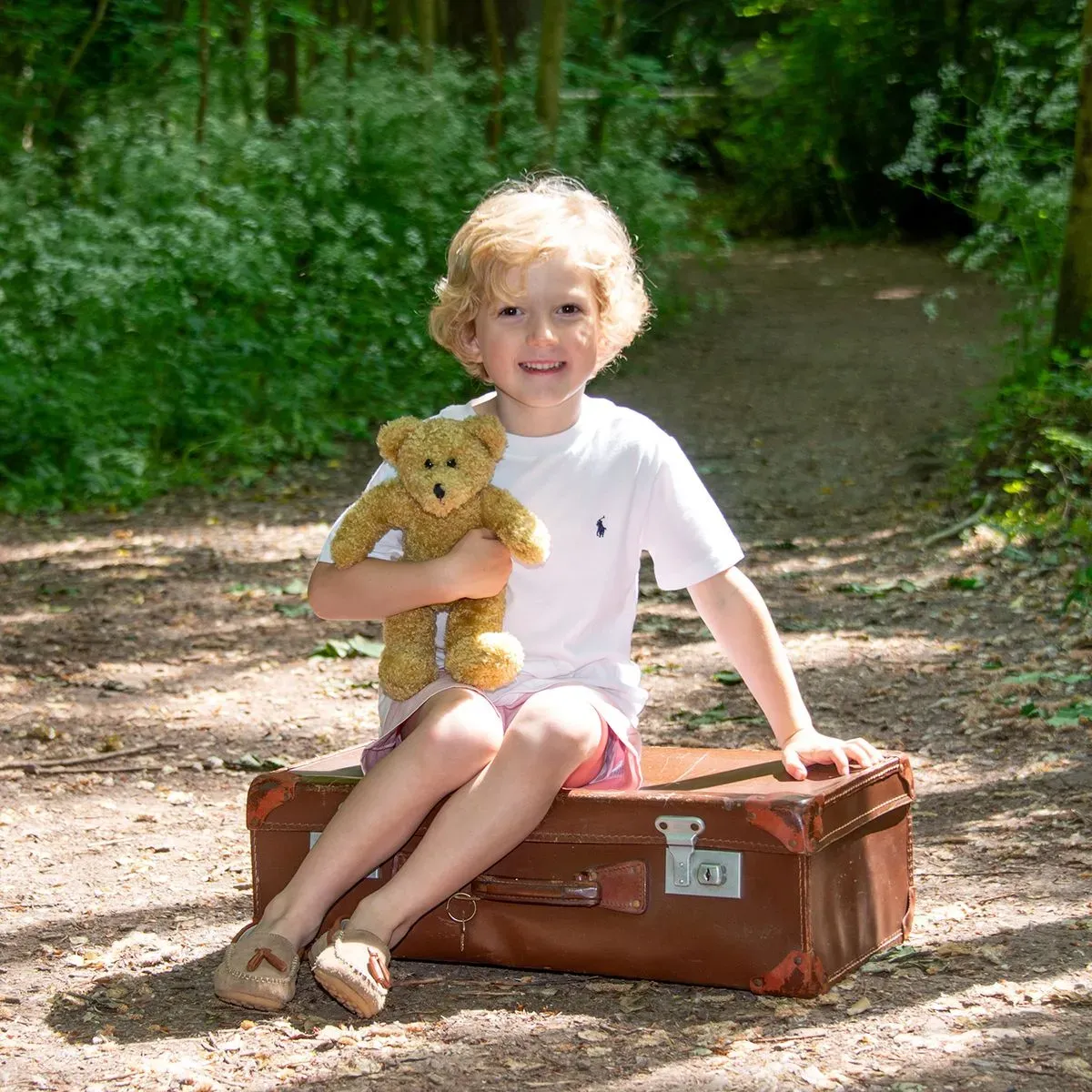 Descriptive text for the image