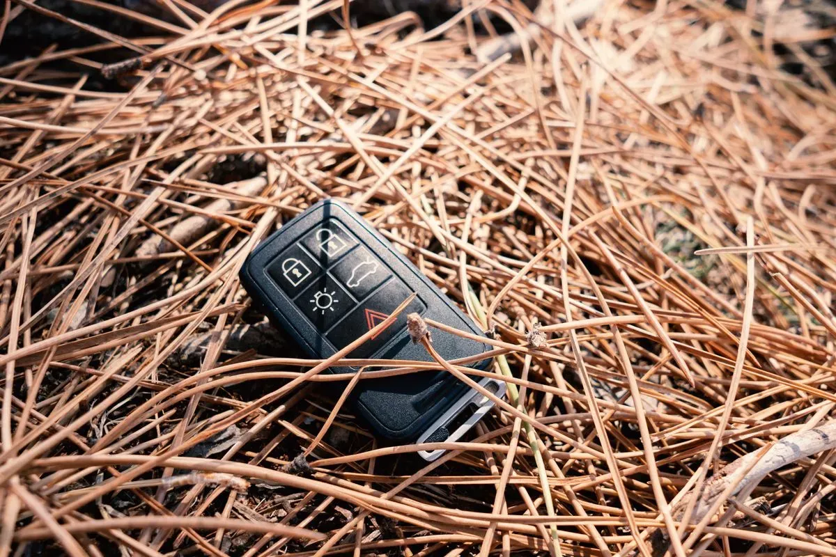 All keys Lost image