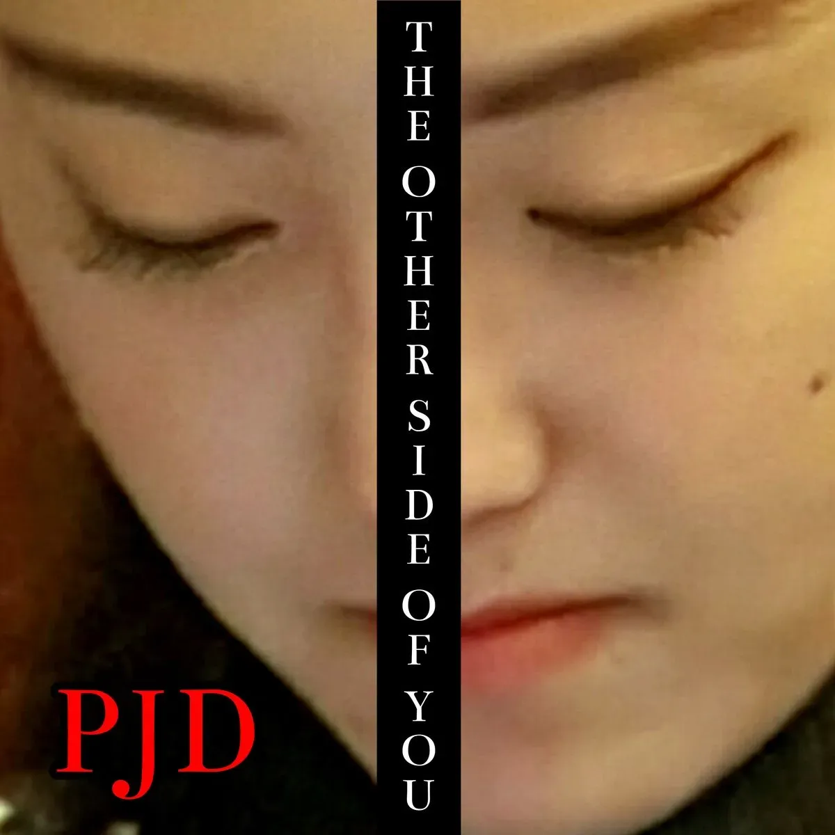 Descriptive text for the image