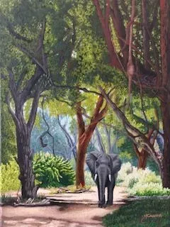 Shingwedzi Stroll collection background image