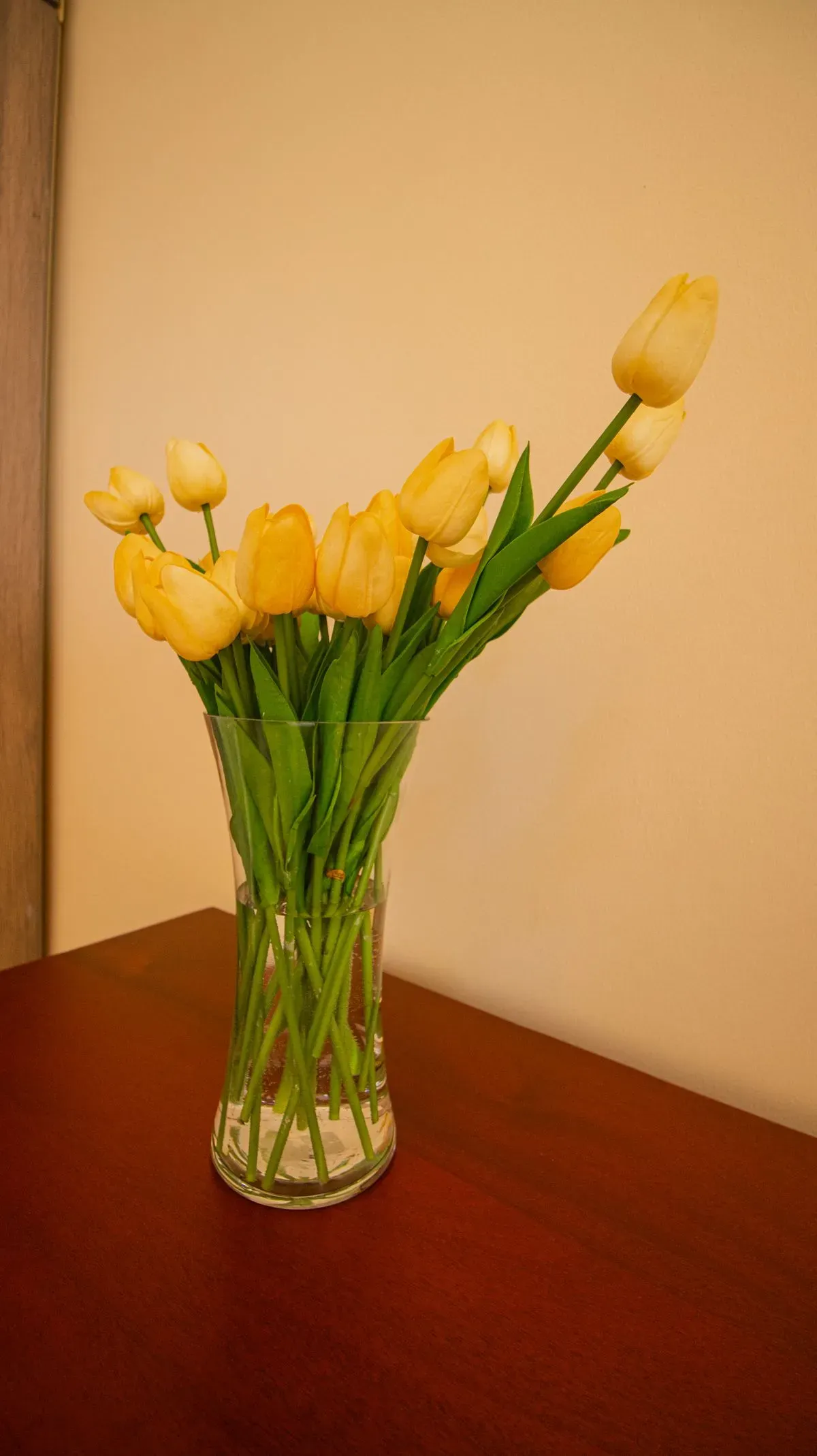 Descriptive text for the image