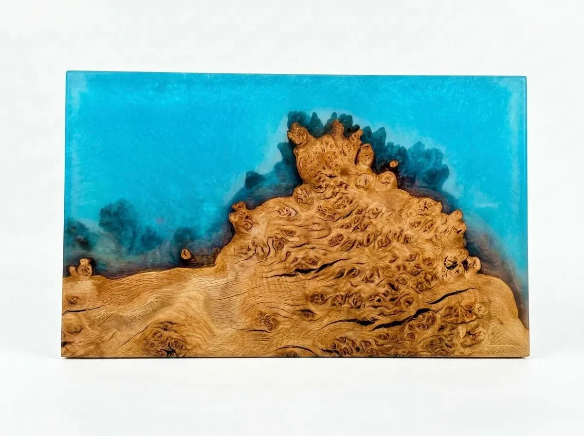 Burr Oak 12 thumbnail image