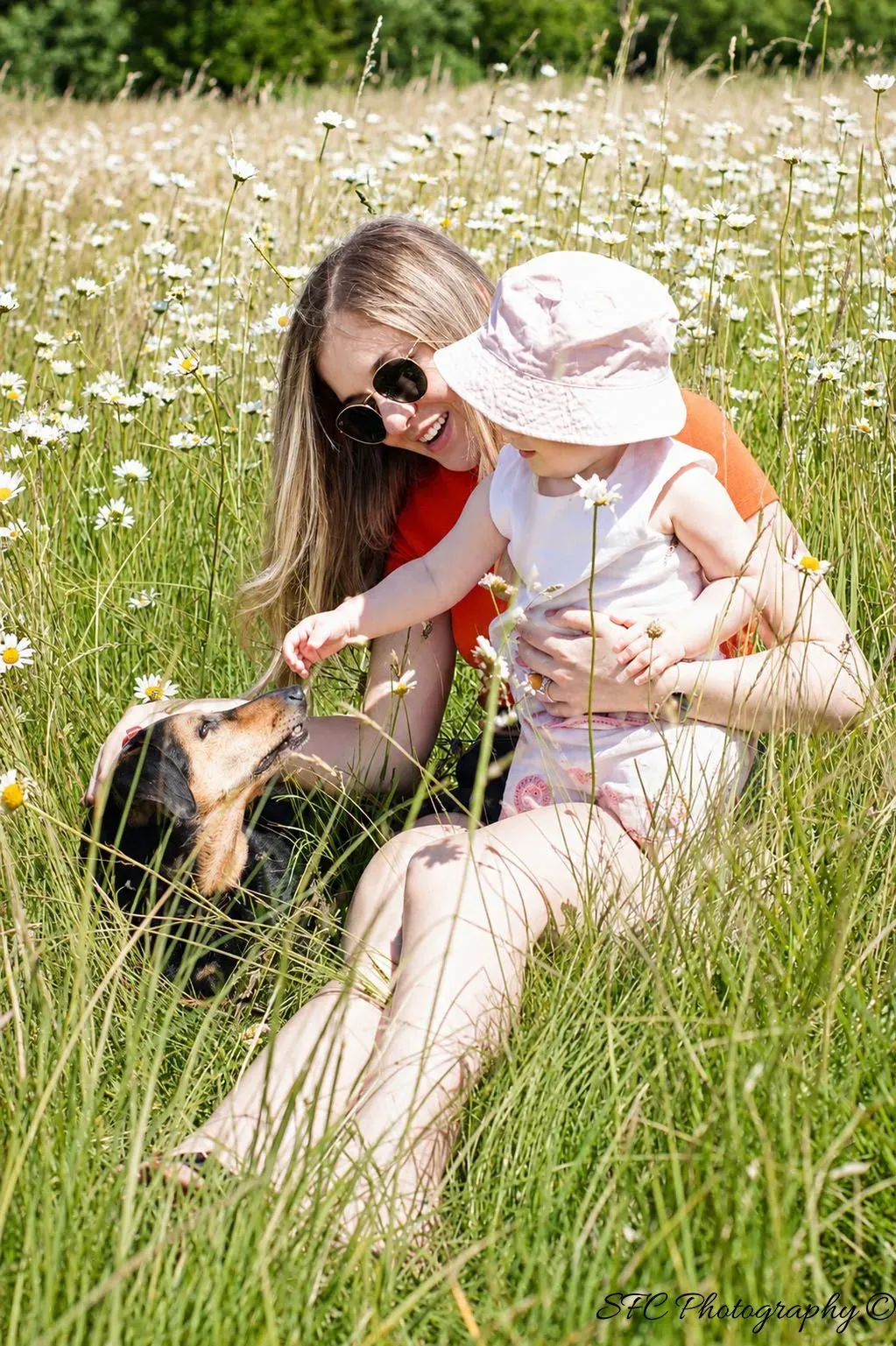Family Photography image background image