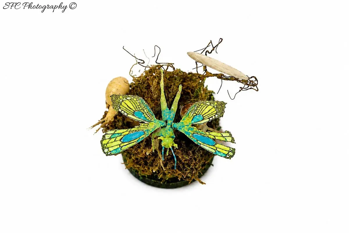 Product Photography image