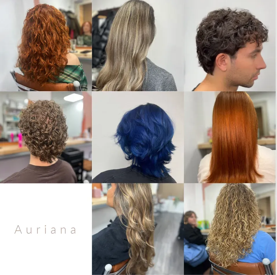 Descriptive text for the image