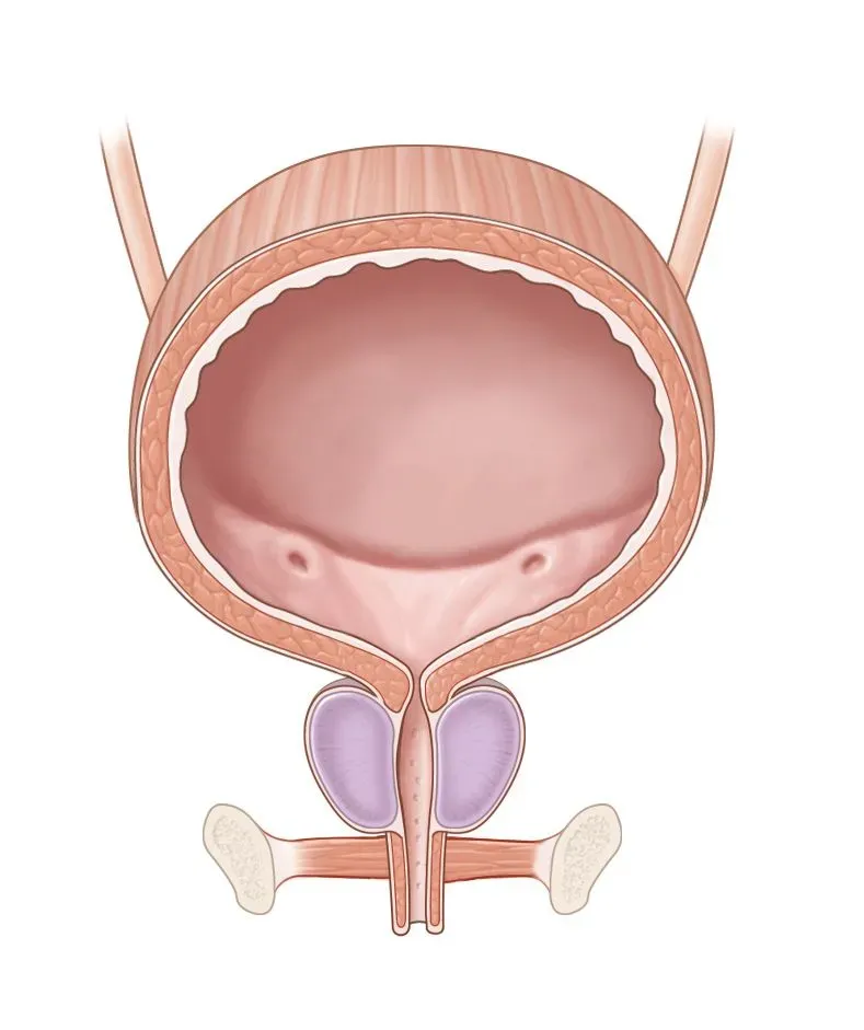Men's Health Physiotherapy image