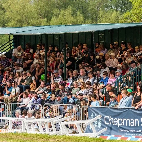 Descriptive text for the image