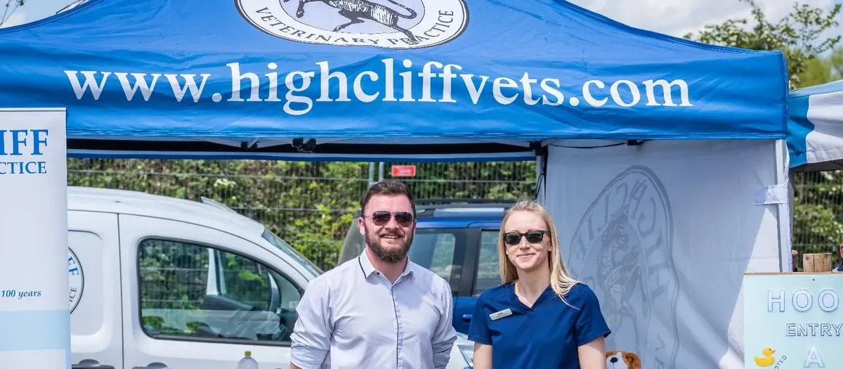 Descriptive text for the image