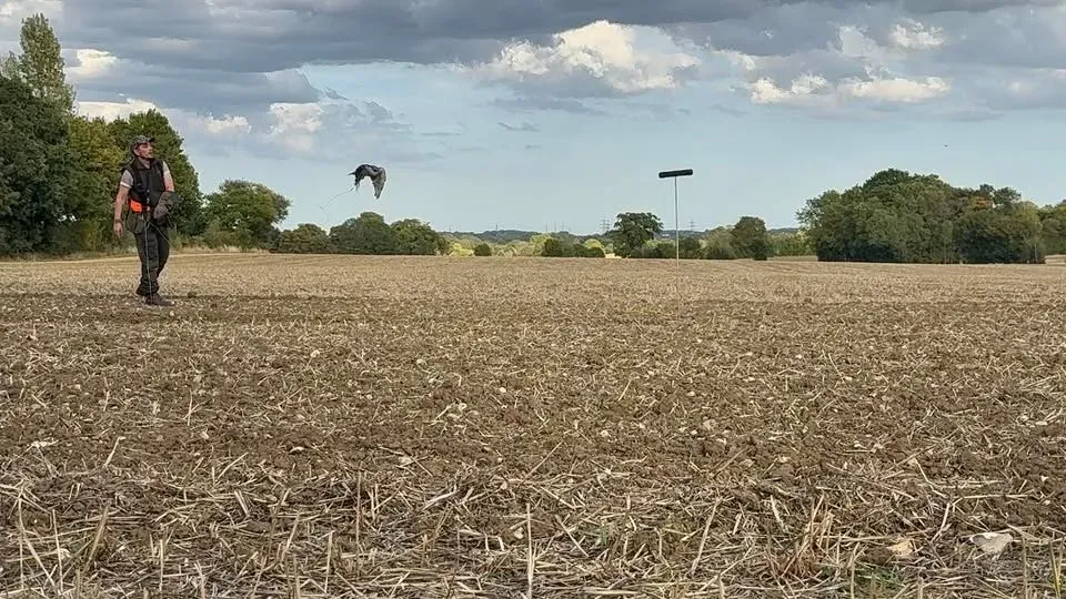 Descriptive text for the image