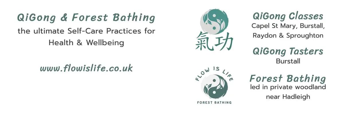 Descriptive text for the image