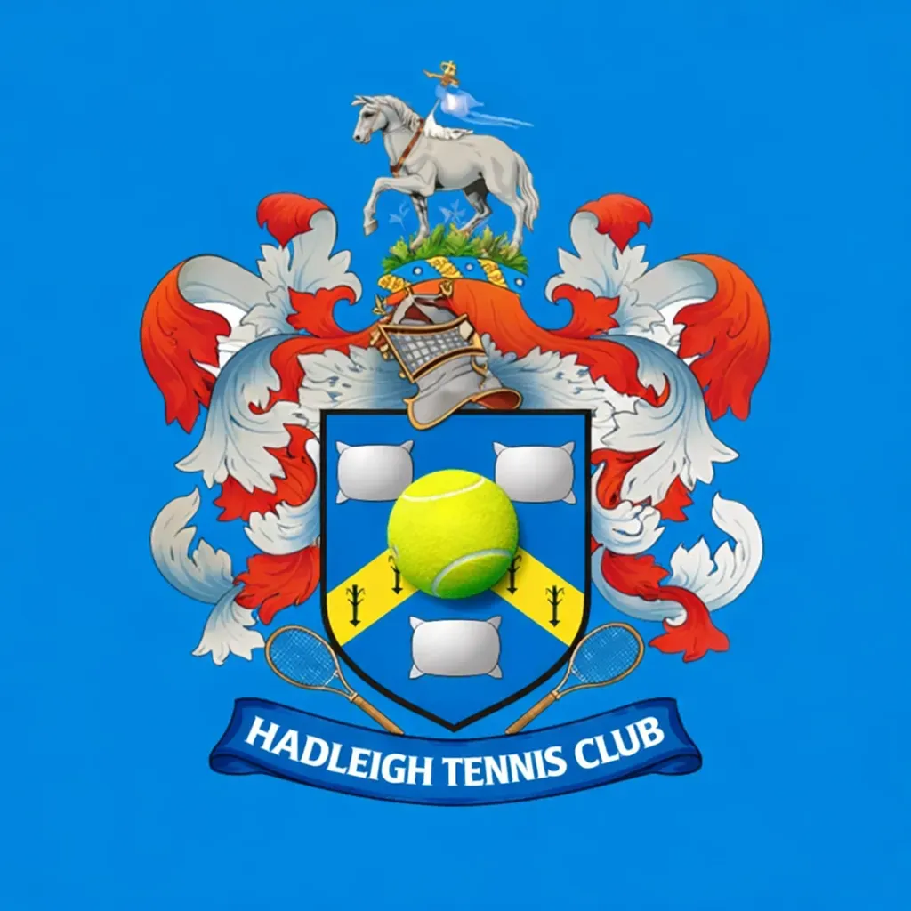 Descriptive text for the image