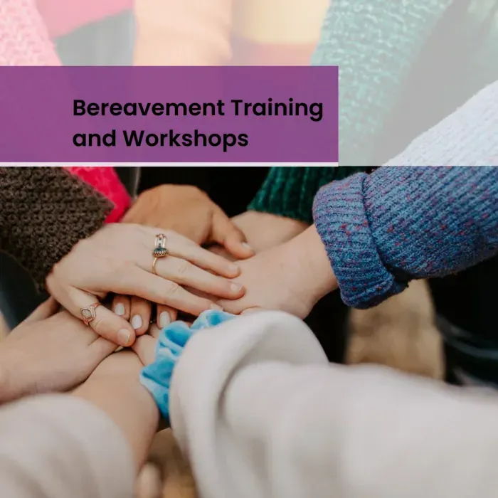 Descriptive text for the image