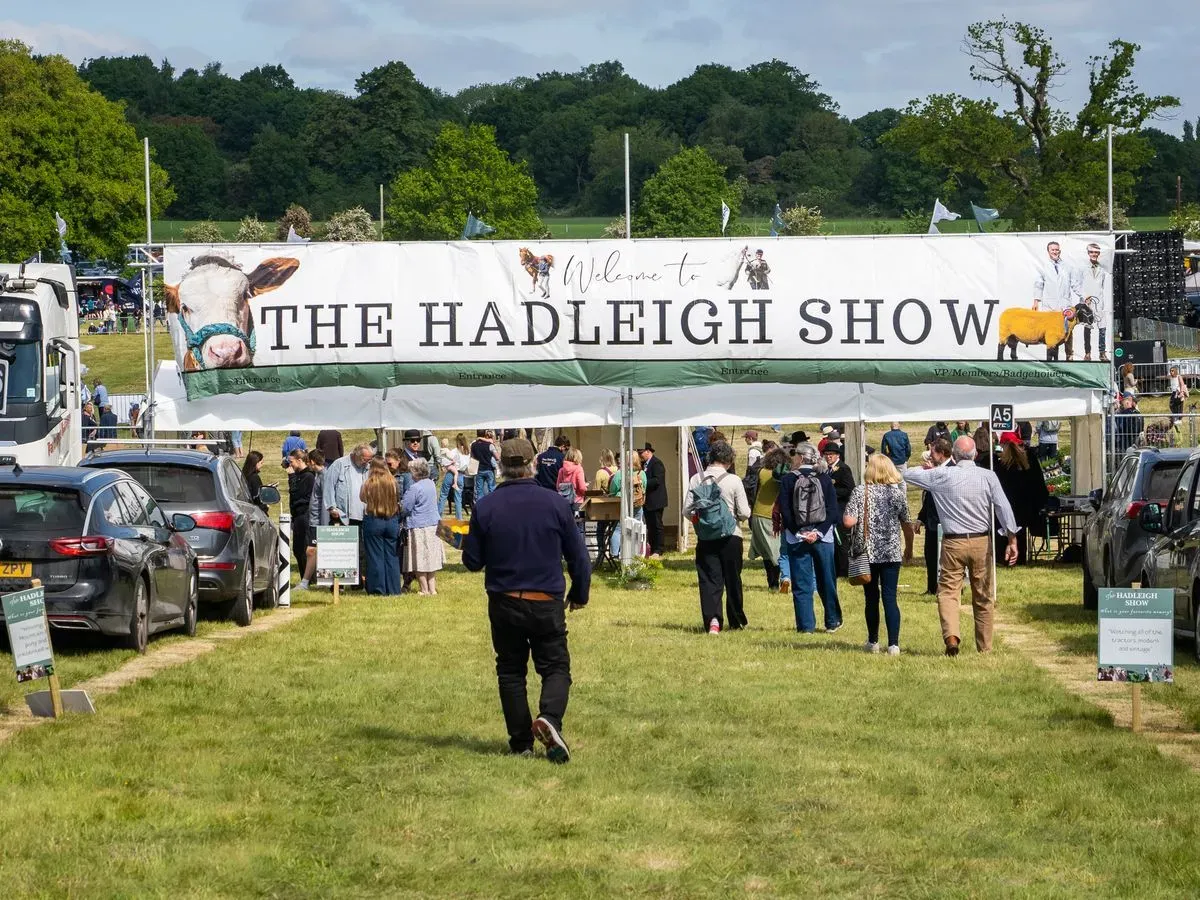 Descriptive text for the image