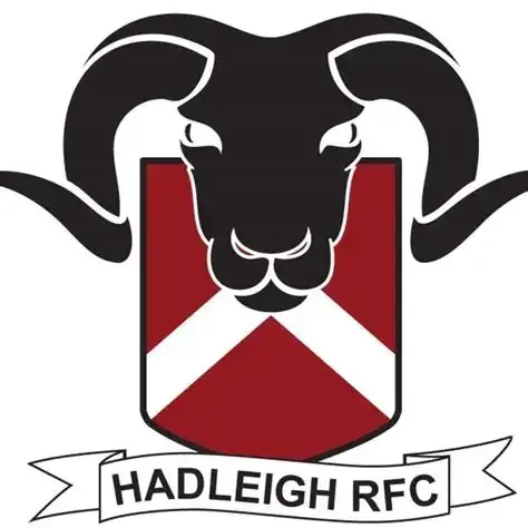 Descriptive text for the image