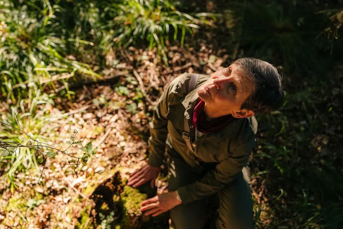 Descriptive text for the image