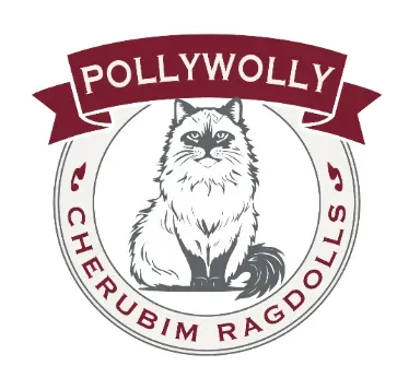 Pollywolly Cherubim Ragdolls logo