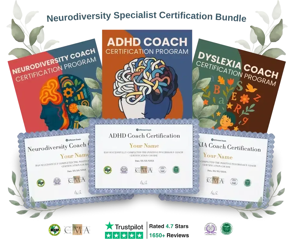 8219470629027-bsjt81xu1apkjqvis45nv-Bundle-Neurodiversity-Bundle-1 thumbnail image