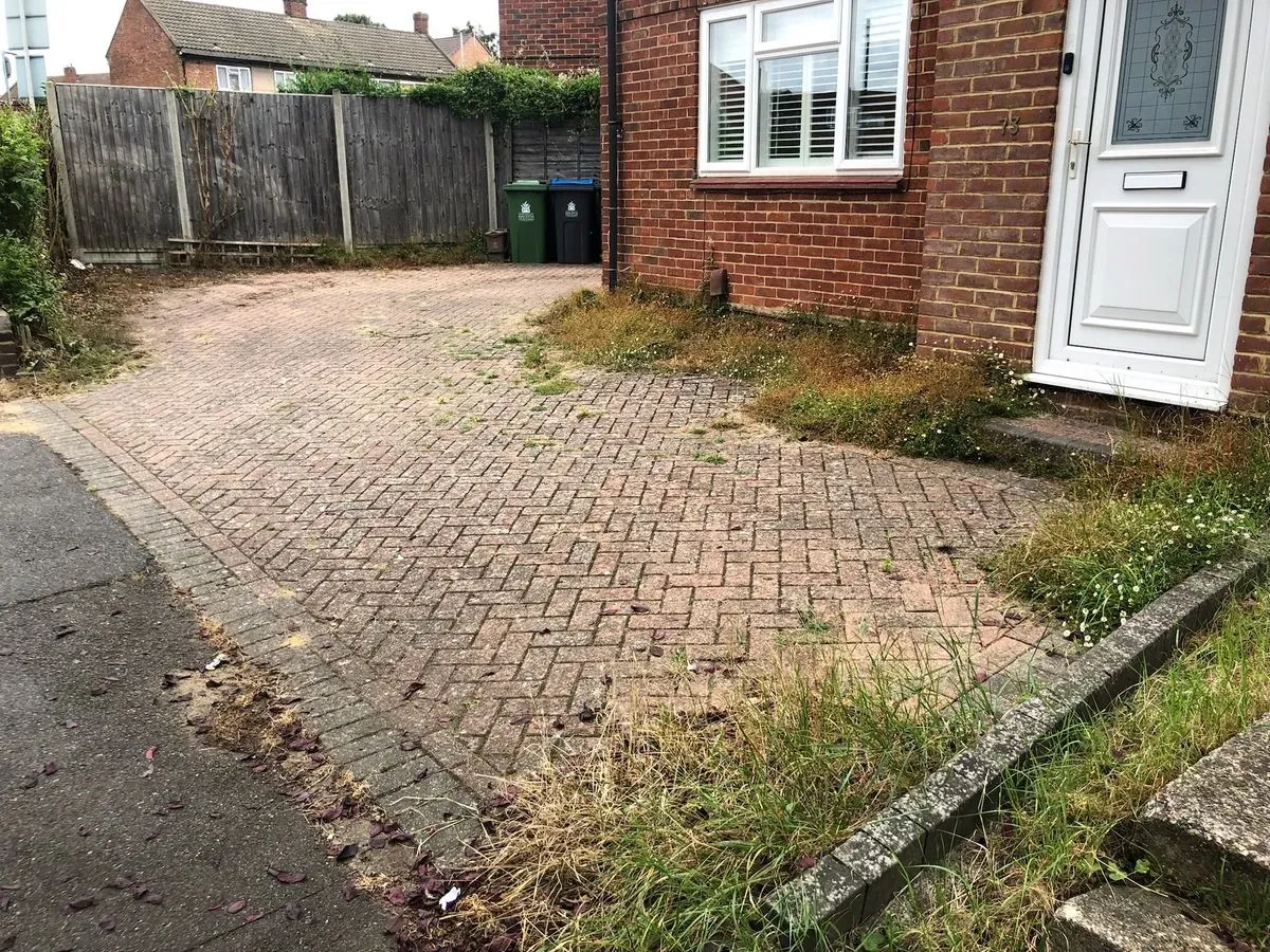 Gallery image 14