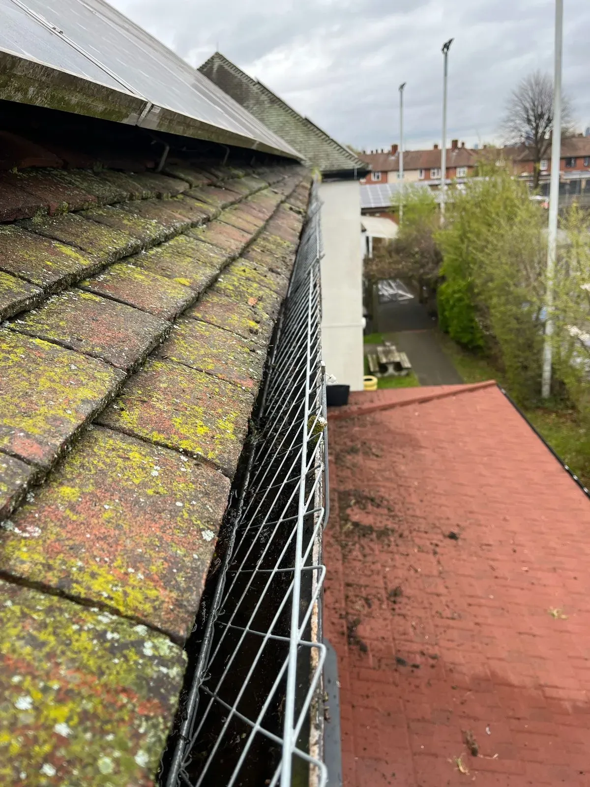 Gutter Cleaning