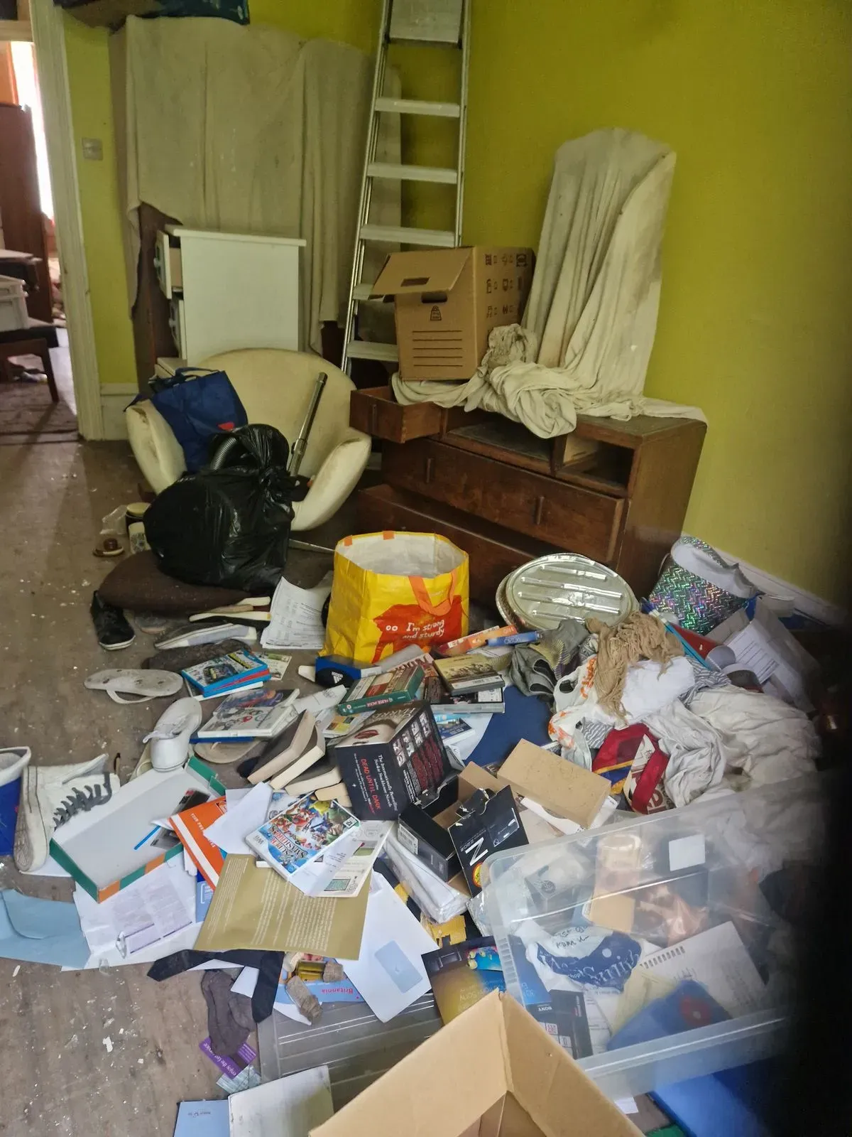 Descriptive text for the image
