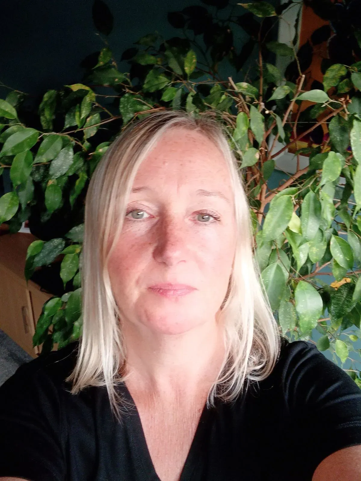 Descriptive text for the image