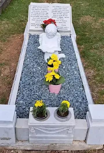 Regular grave maintenance and cleaning image background image