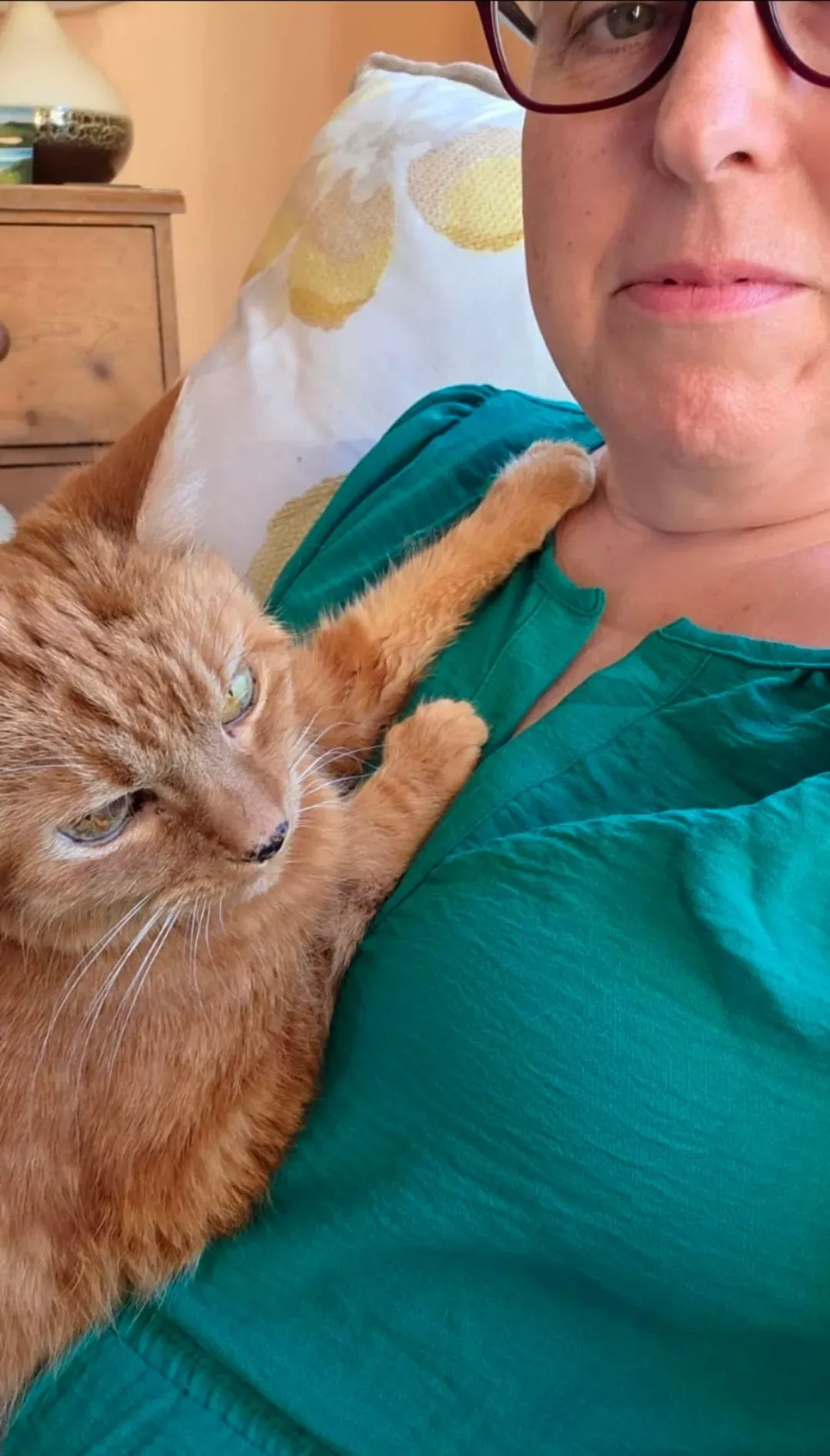 Descriptive text for the image