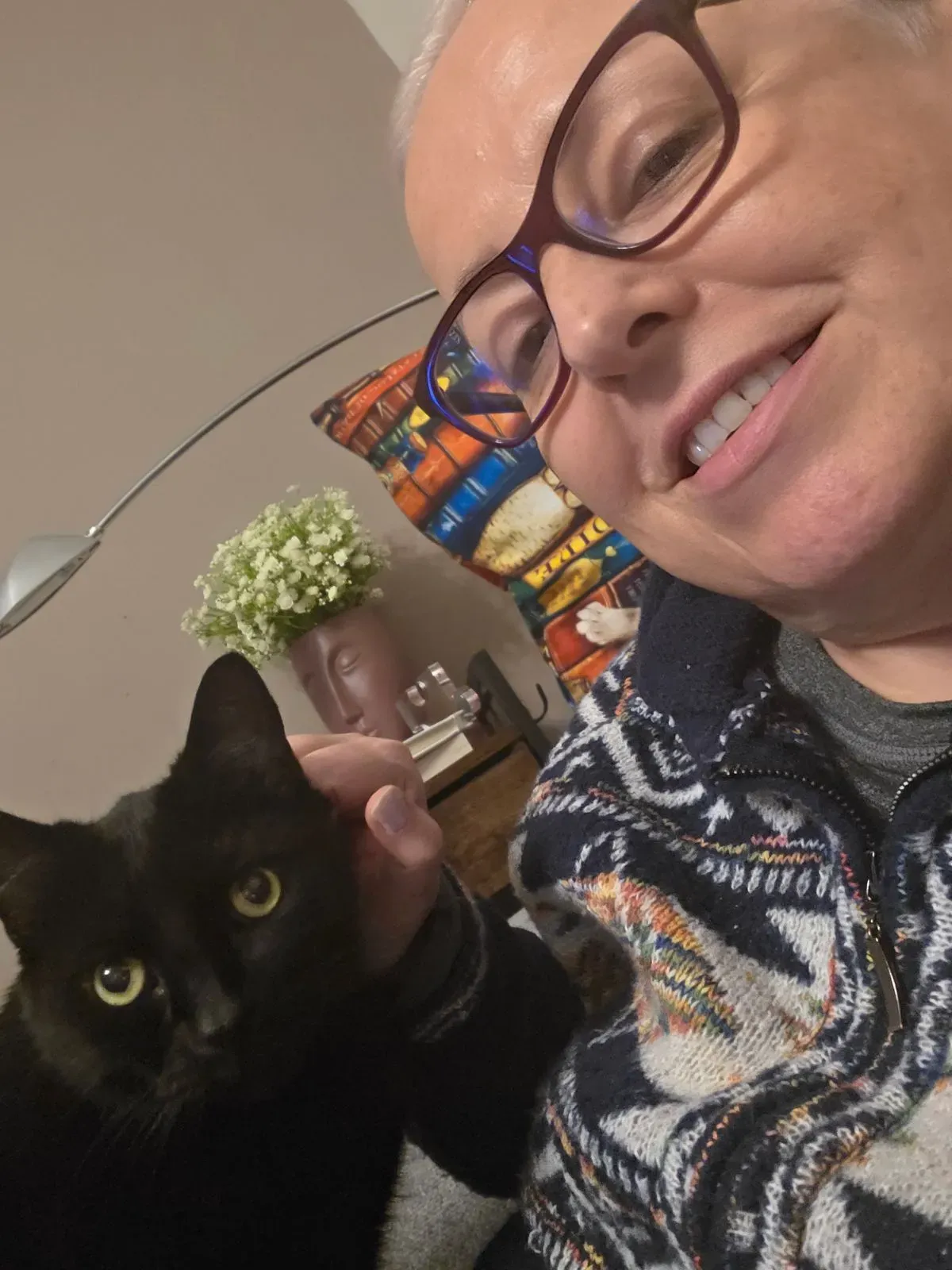 Descriptive text for the image