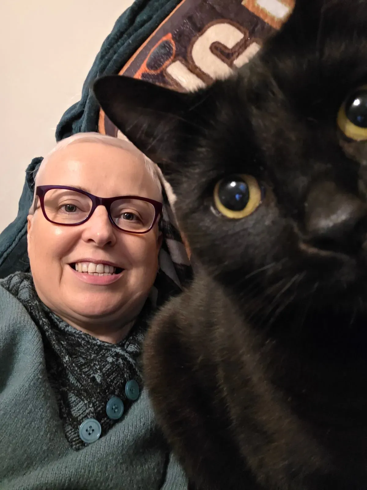 Descriptive text for the image