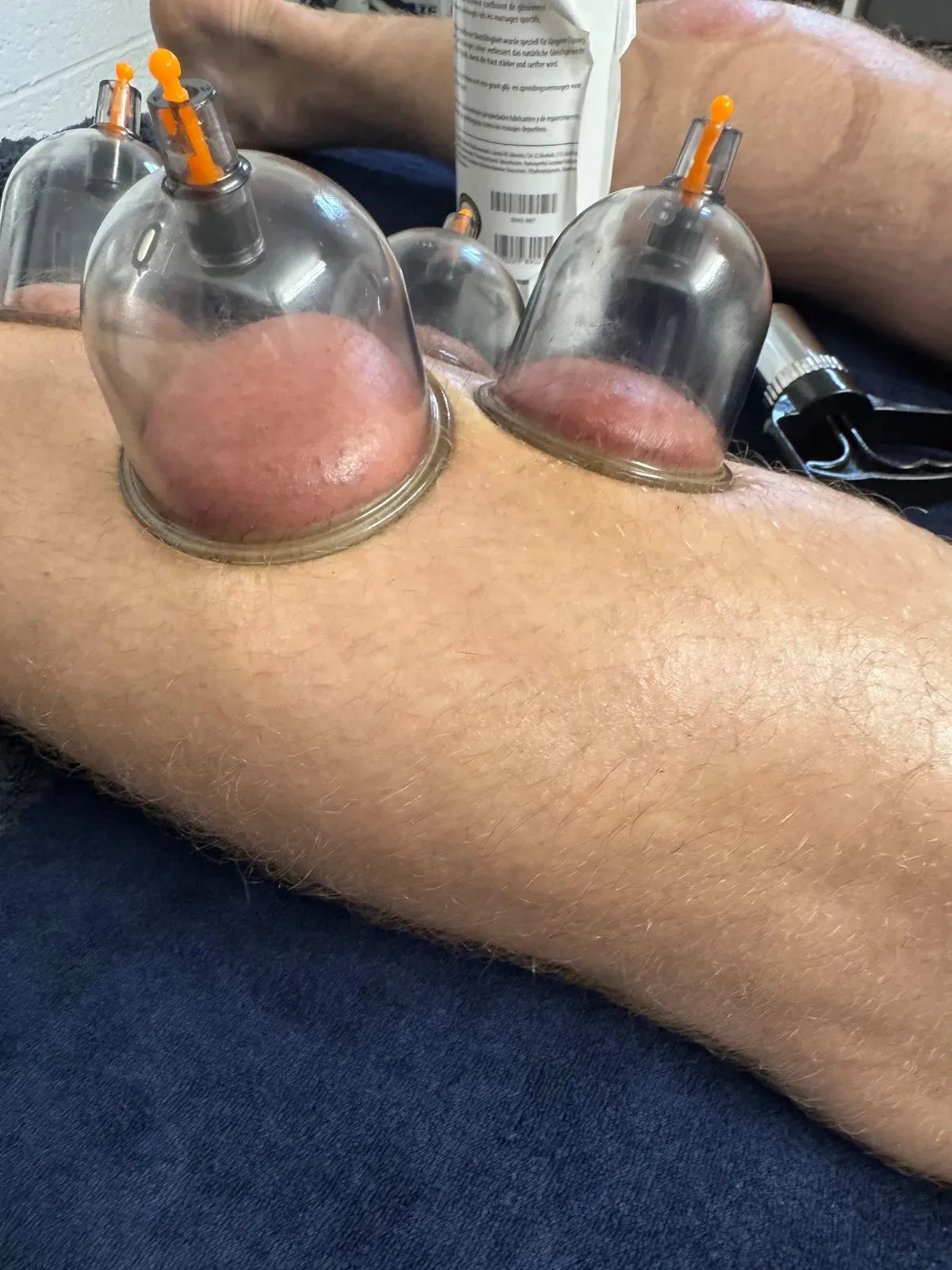 Descriptive text for the image