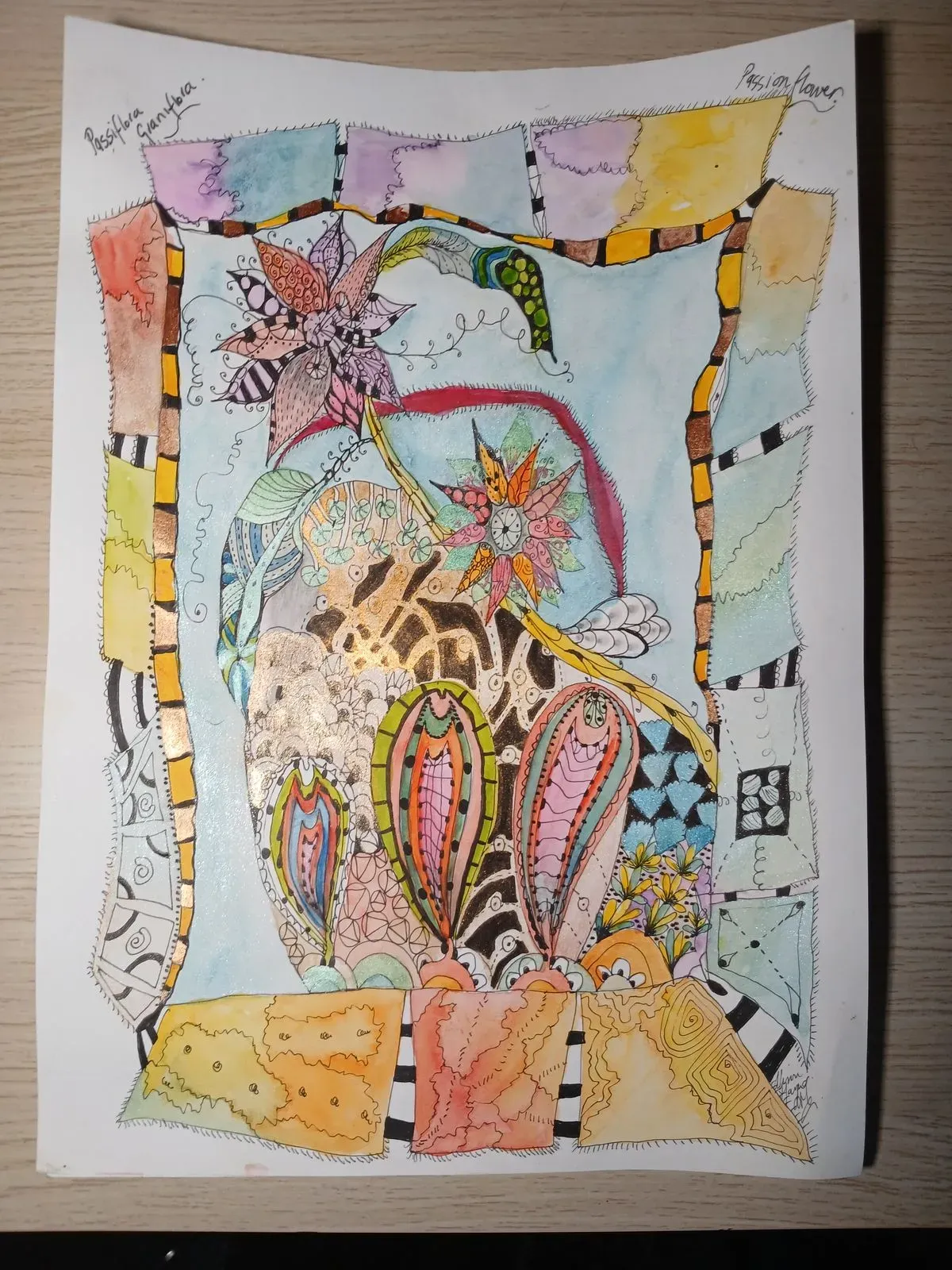 orange tangle thumbnail image