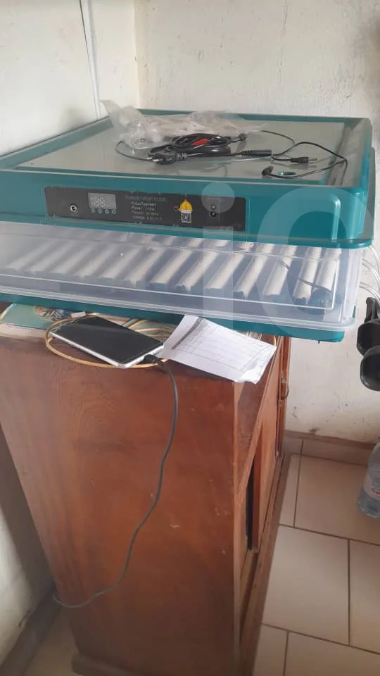 Incubateur d'oeufs - Egg Incubators - Yaounde 3