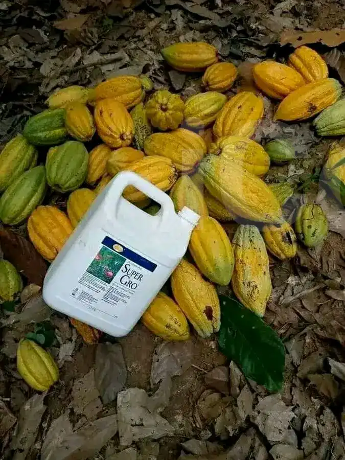 Super gro - Supplements - Douala 2