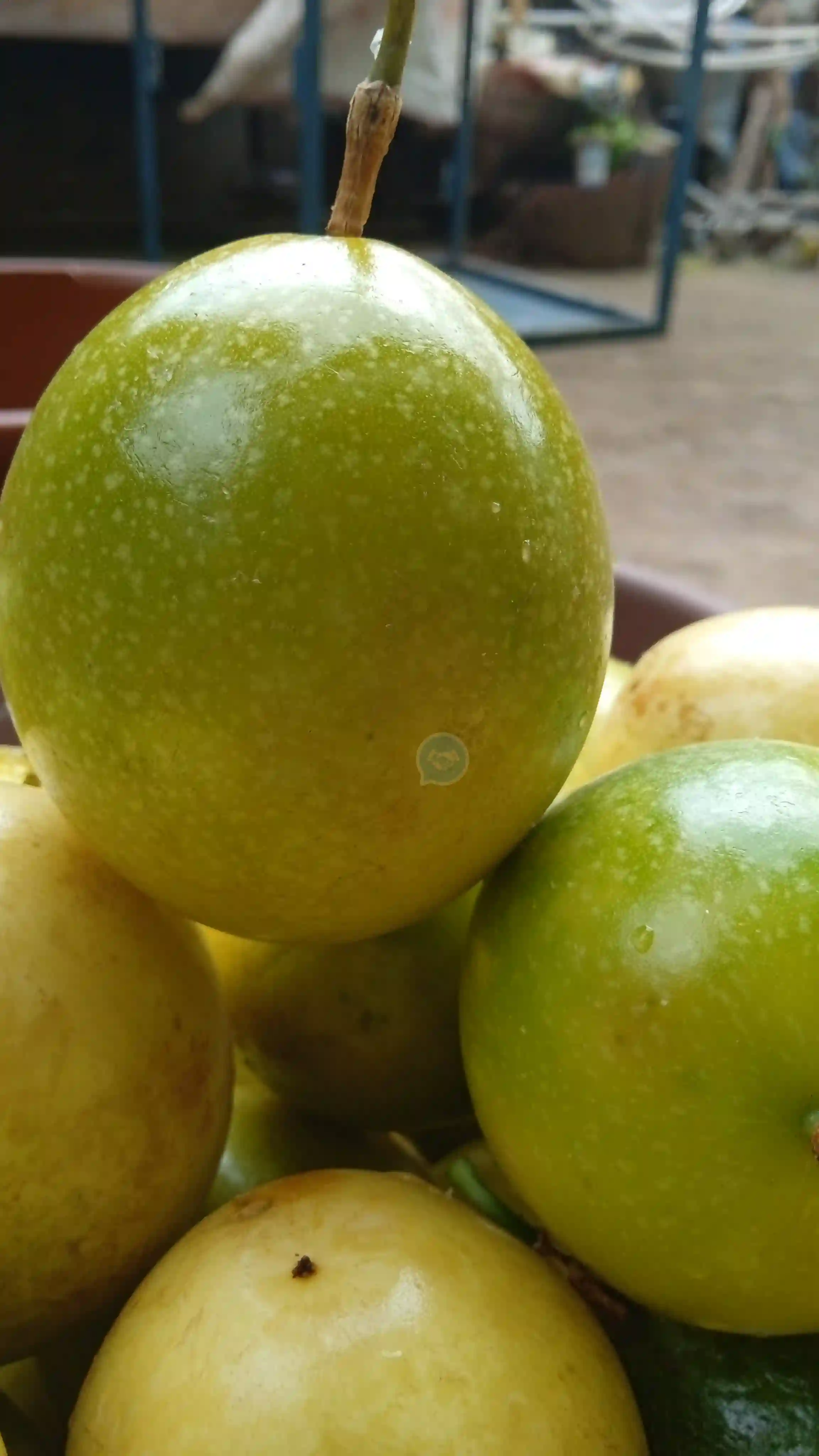 Yellow juicy passion fruit. - Pasion fruit - Yaounde 2
