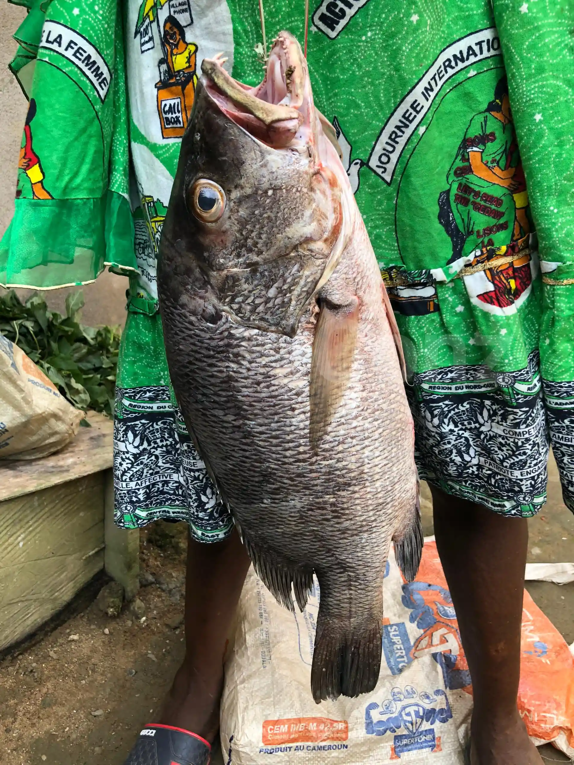 Carpe bien fraîche - Fresh Fish - Douala 2