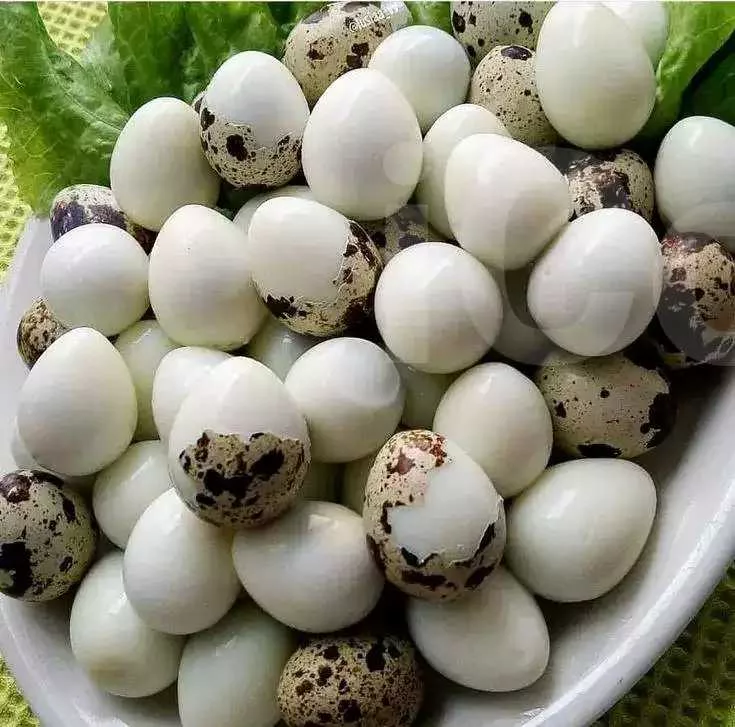 Oeufs de caille en alvéoles - Quail Eggs - Yaounde 3