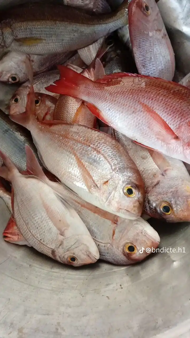 Marquero - Fresh Fish - Douala 2