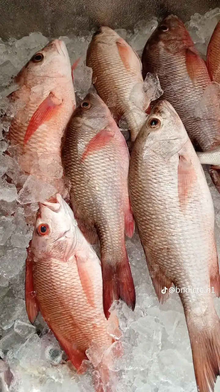 Marquero - Fresh Fish - Douala 4