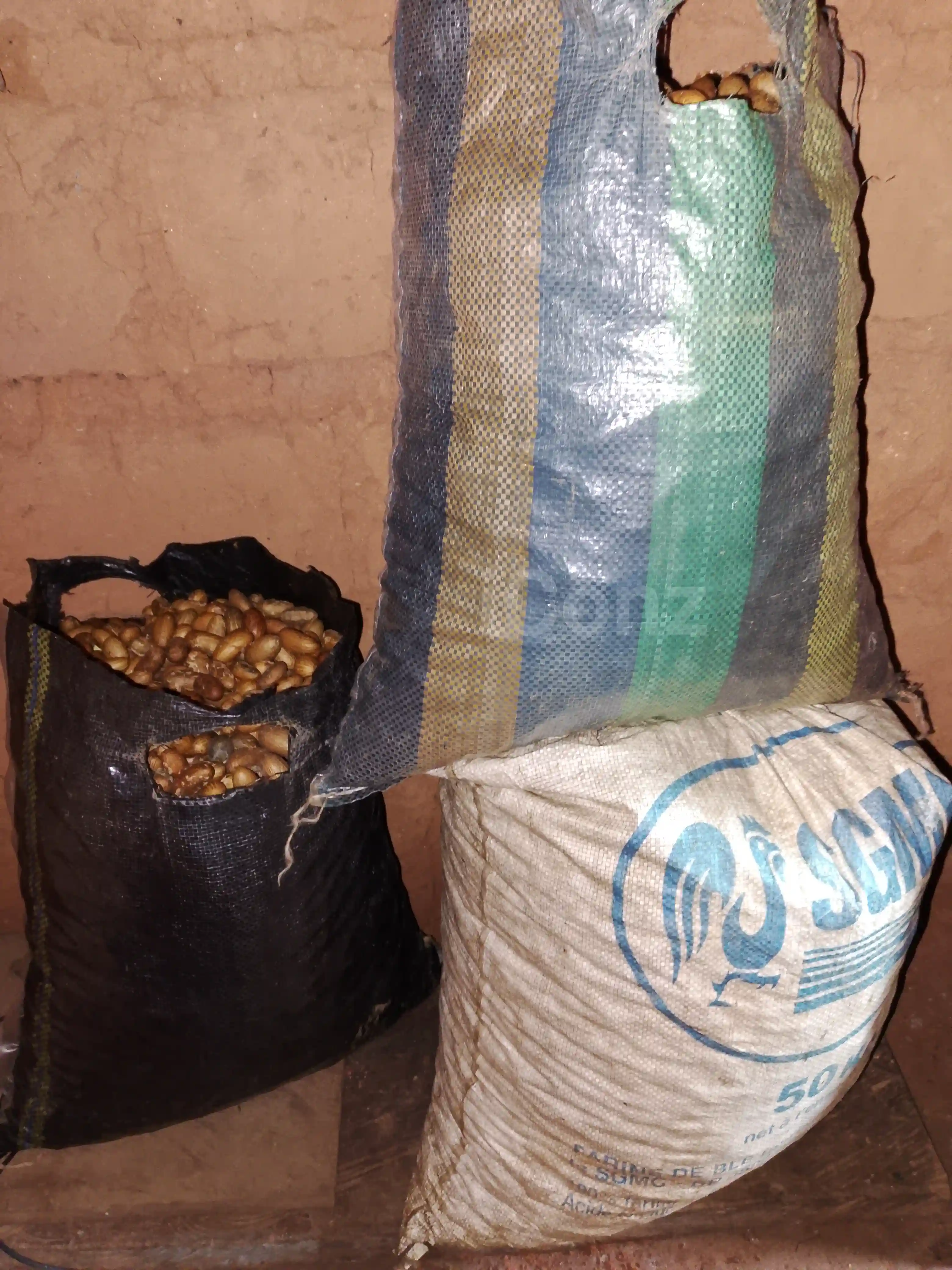 Beater cooler - Other - Bamenda 4