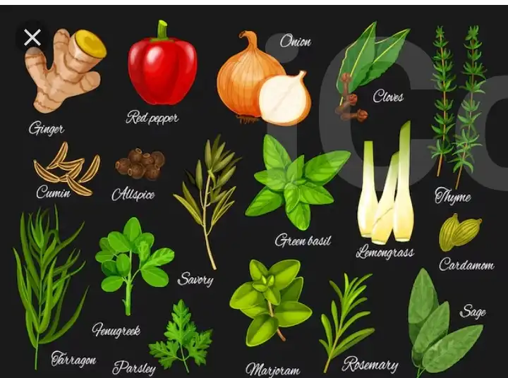 Bazzelic - Celery - Batouri 3