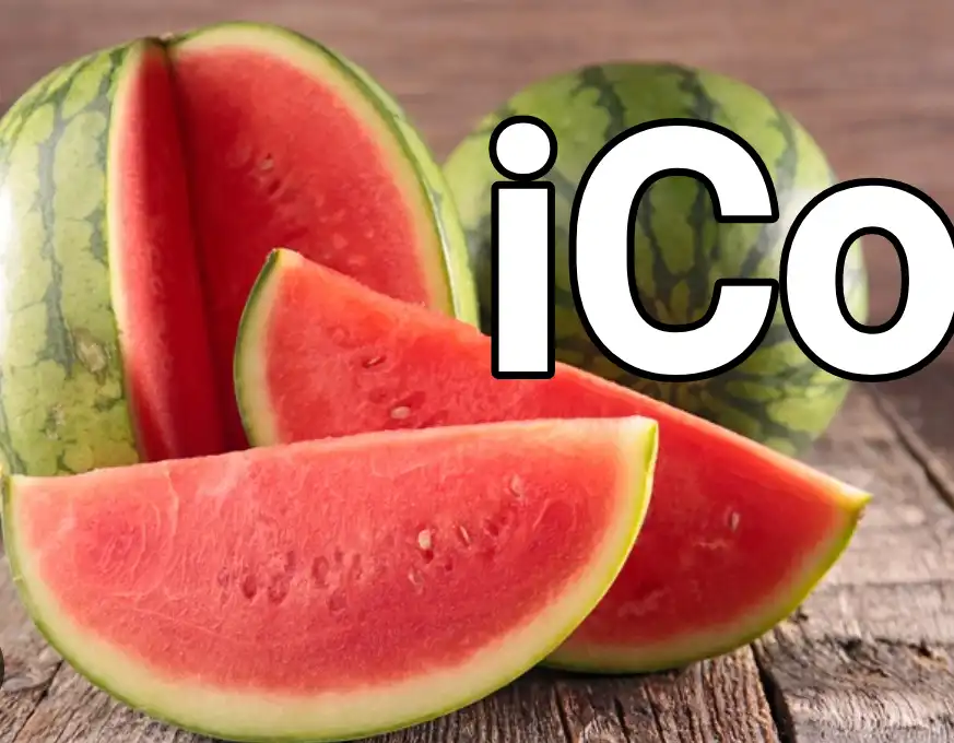 PASTÈQUE ANANAS - Watermelon - Yaounde 2