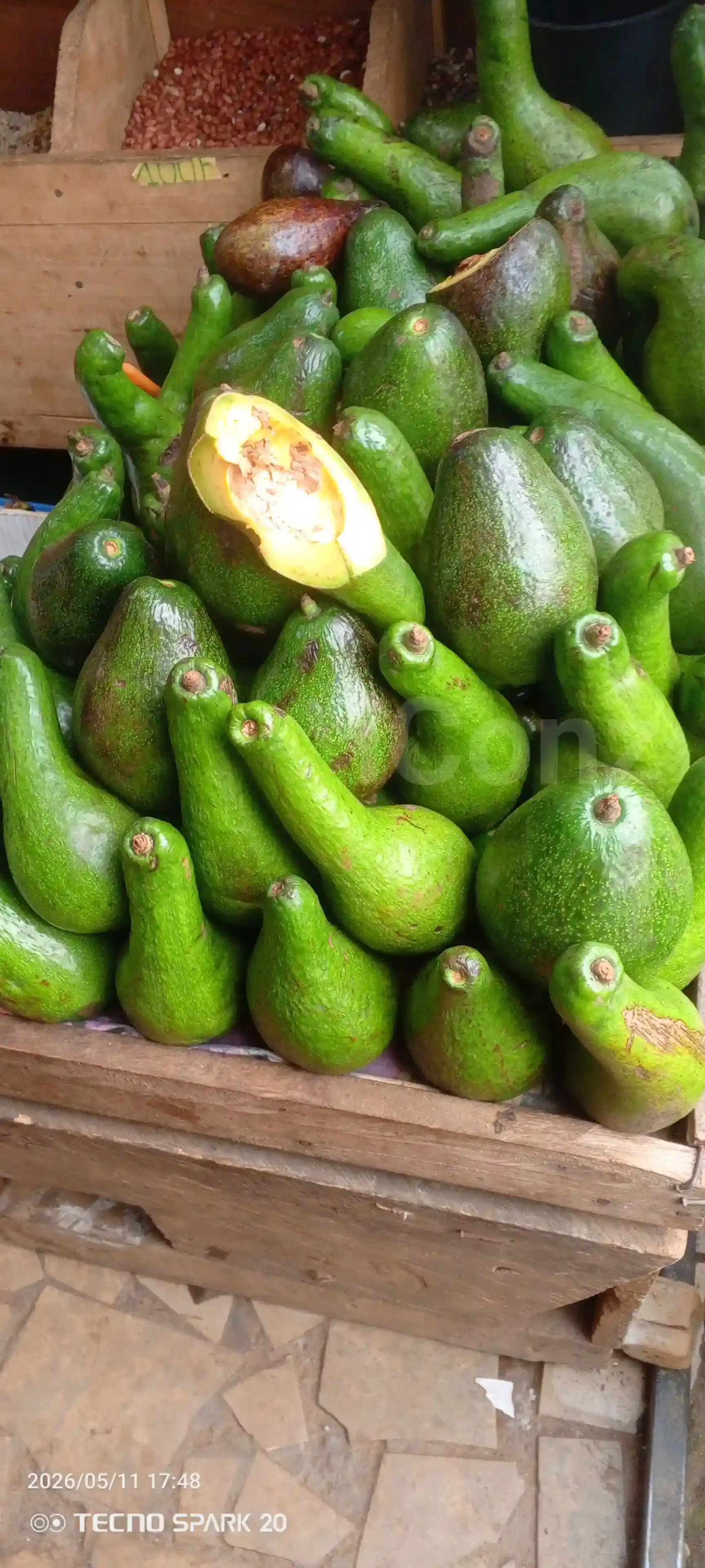 Avocats beurre - Avokado - Yaounde
