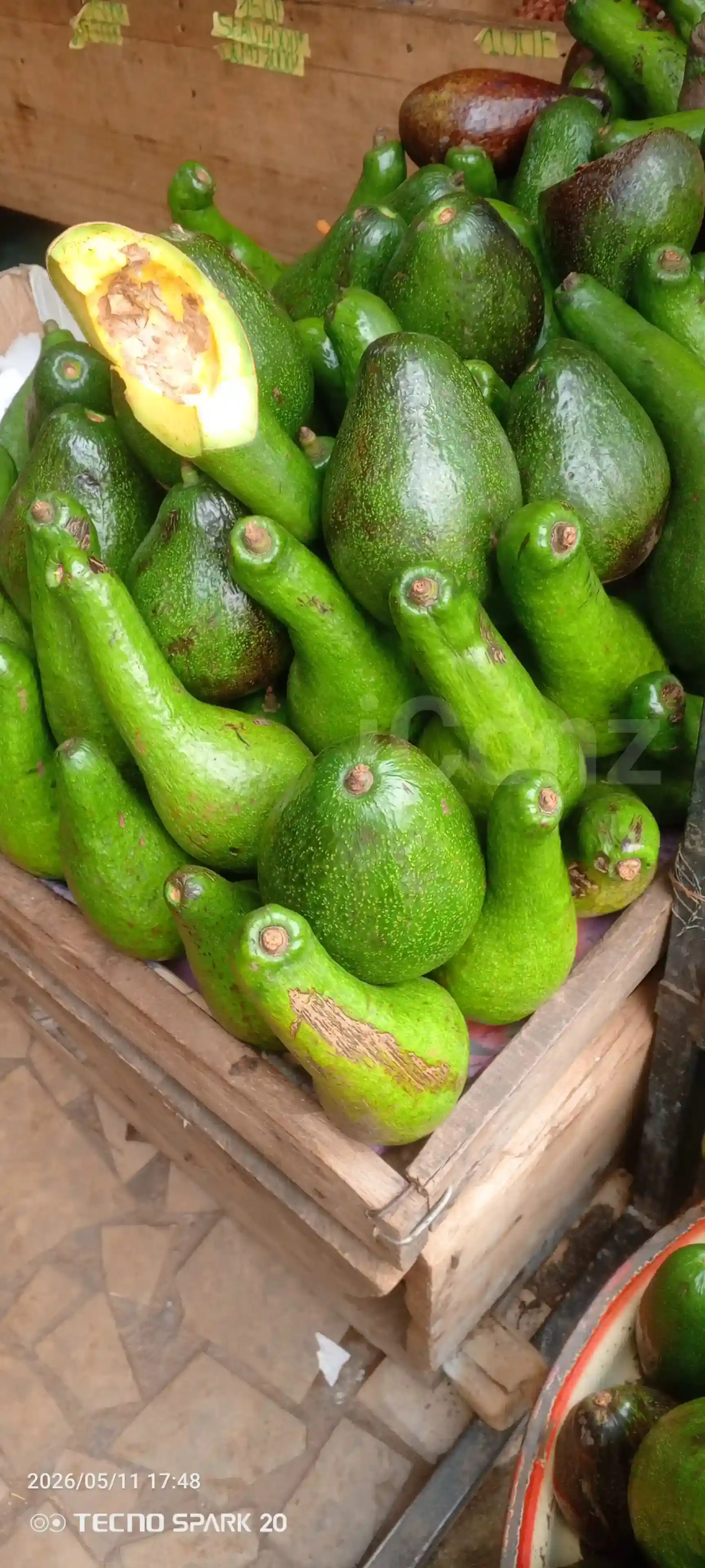 Avocats beurre - Avokado - Yaounde 4