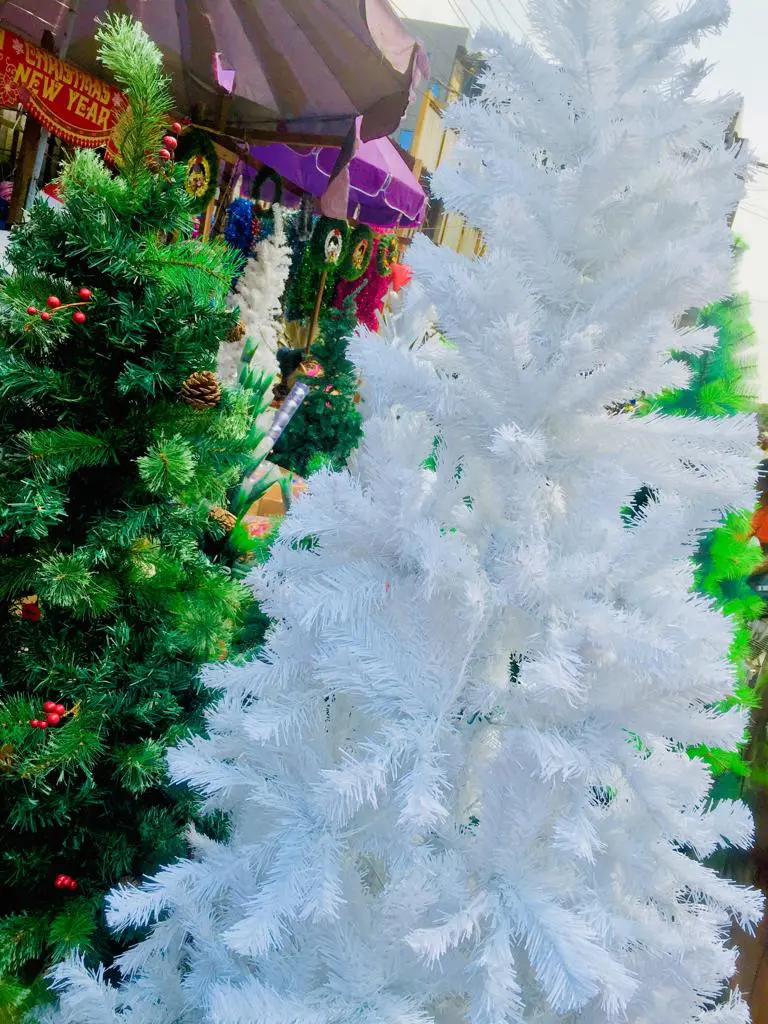 Sapins de Noël disponible - Flower pots - Douala 2