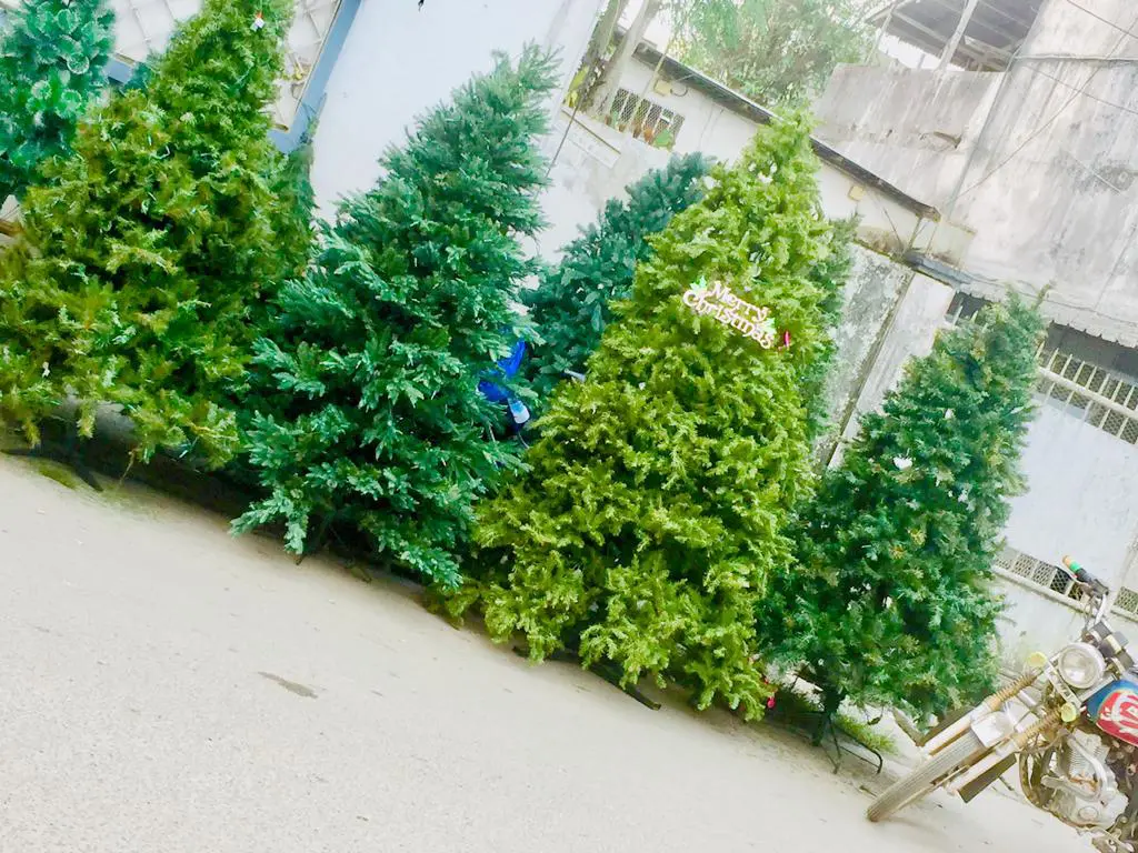 Sapins de Noël disponible - Flower pots - Douala 3
