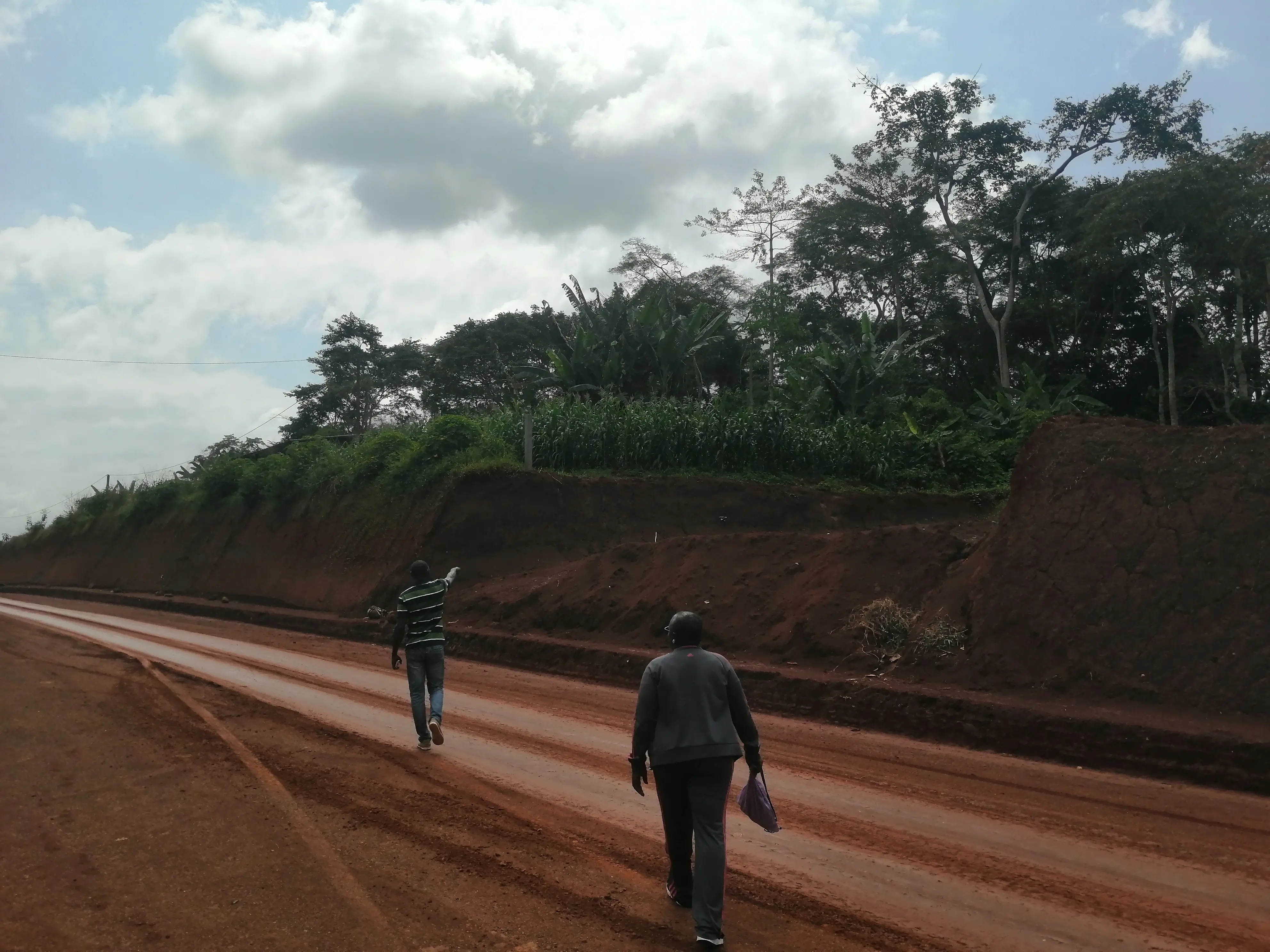 Terrain en solde AKAK - Residential Land - Yaounde 3