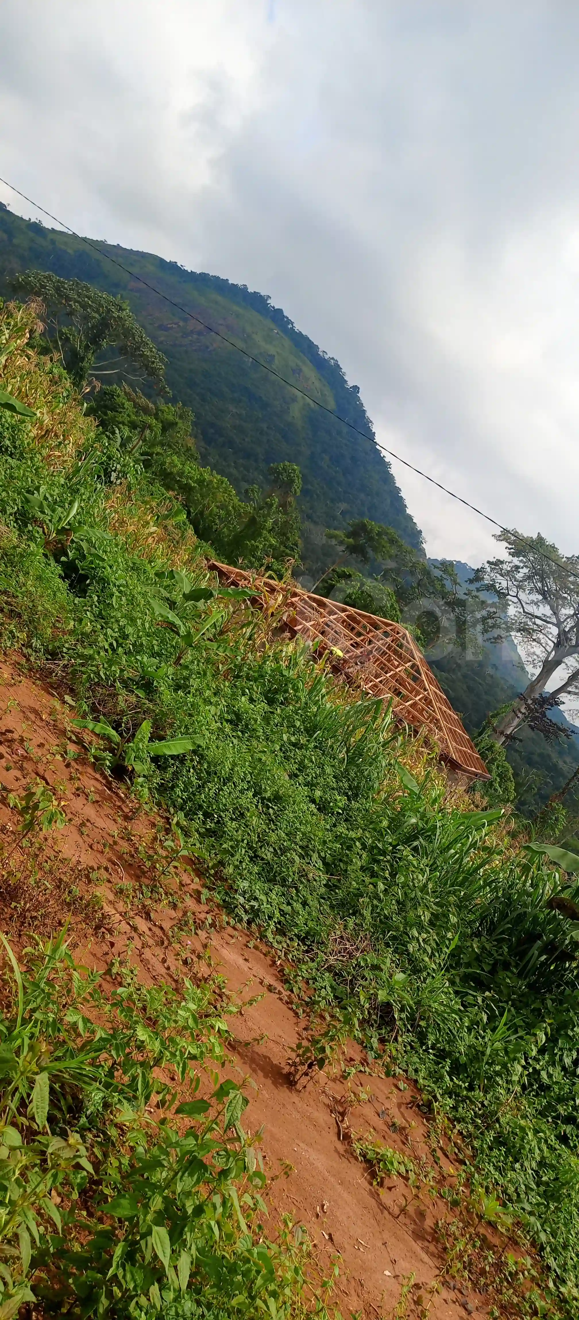 Terrain titré et Loti à Elat - Mixed-use Land - Yaounde 2