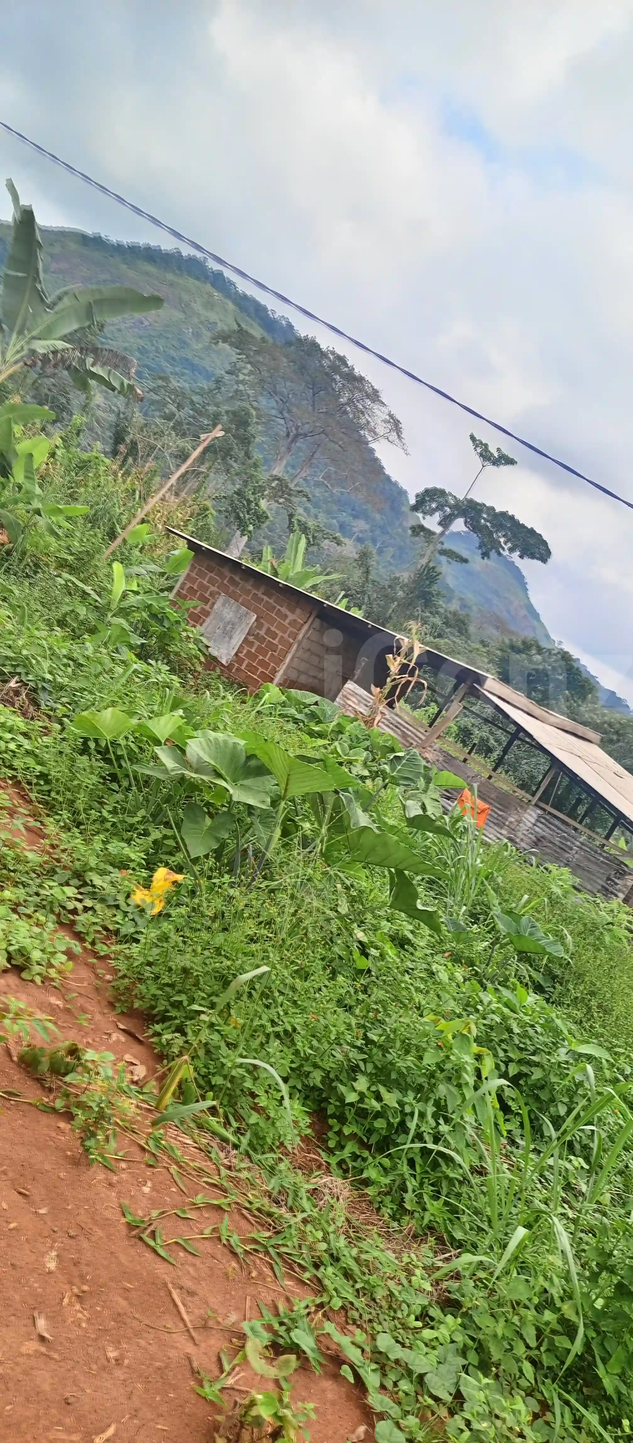 Terrain titré et Loti à Elat - Mixed-use Land - Yaounde 3