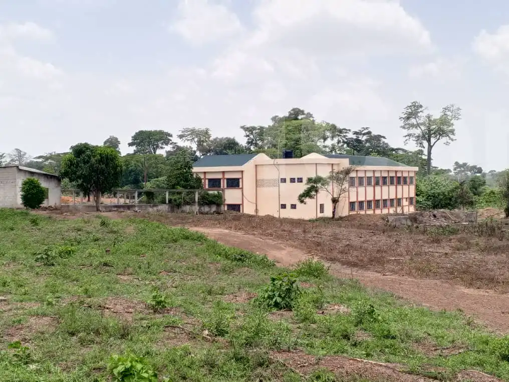 Terrain titré - Mixed-use Land - Bertoua 4