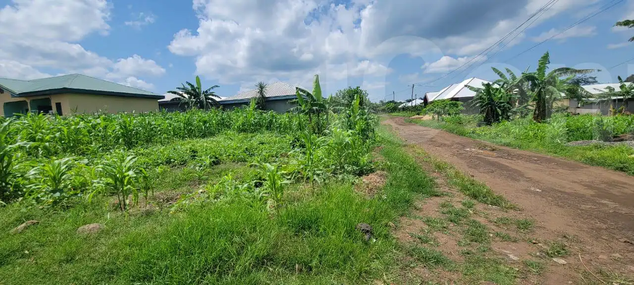 Land at very strategic locatio - Mixed-use Land - Mutengene 2